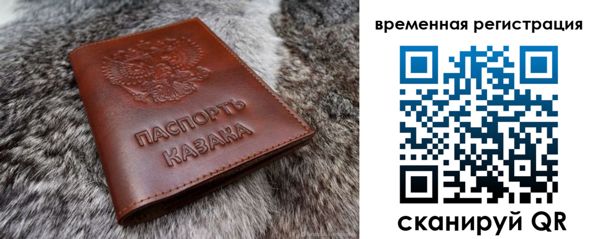 прописка 2025 в Белой Калитве